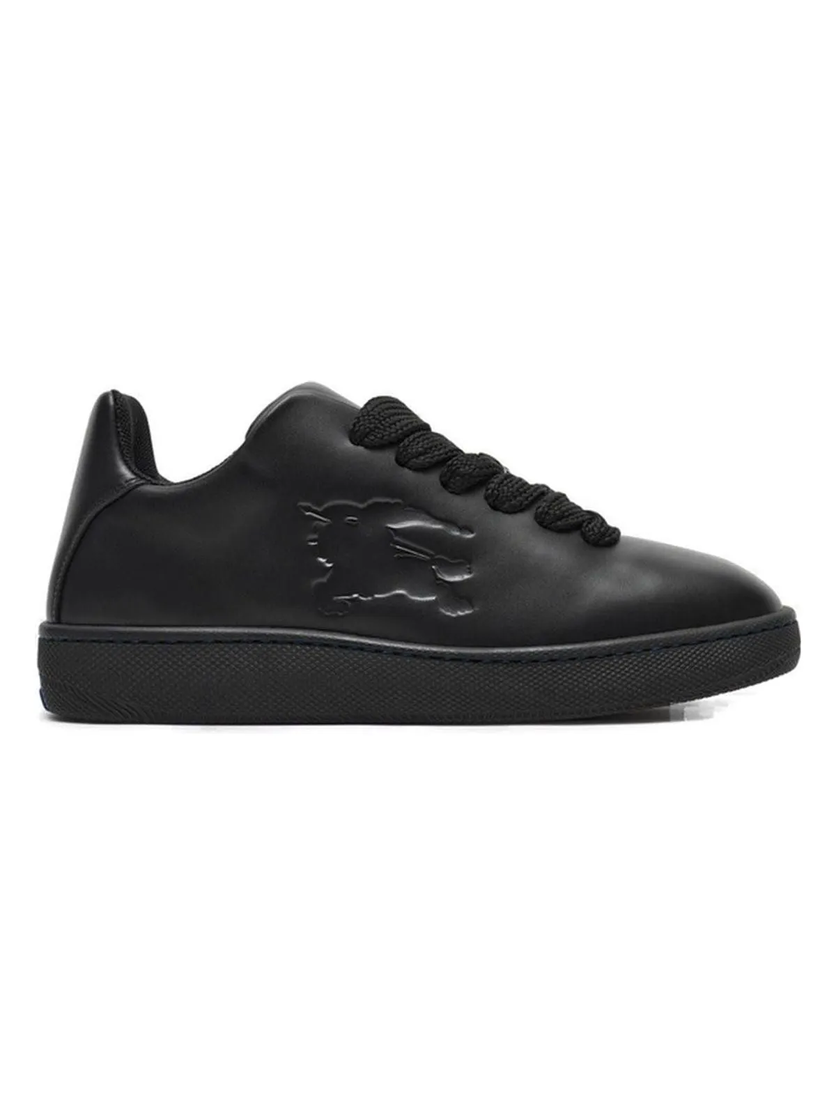 Box Sneakers