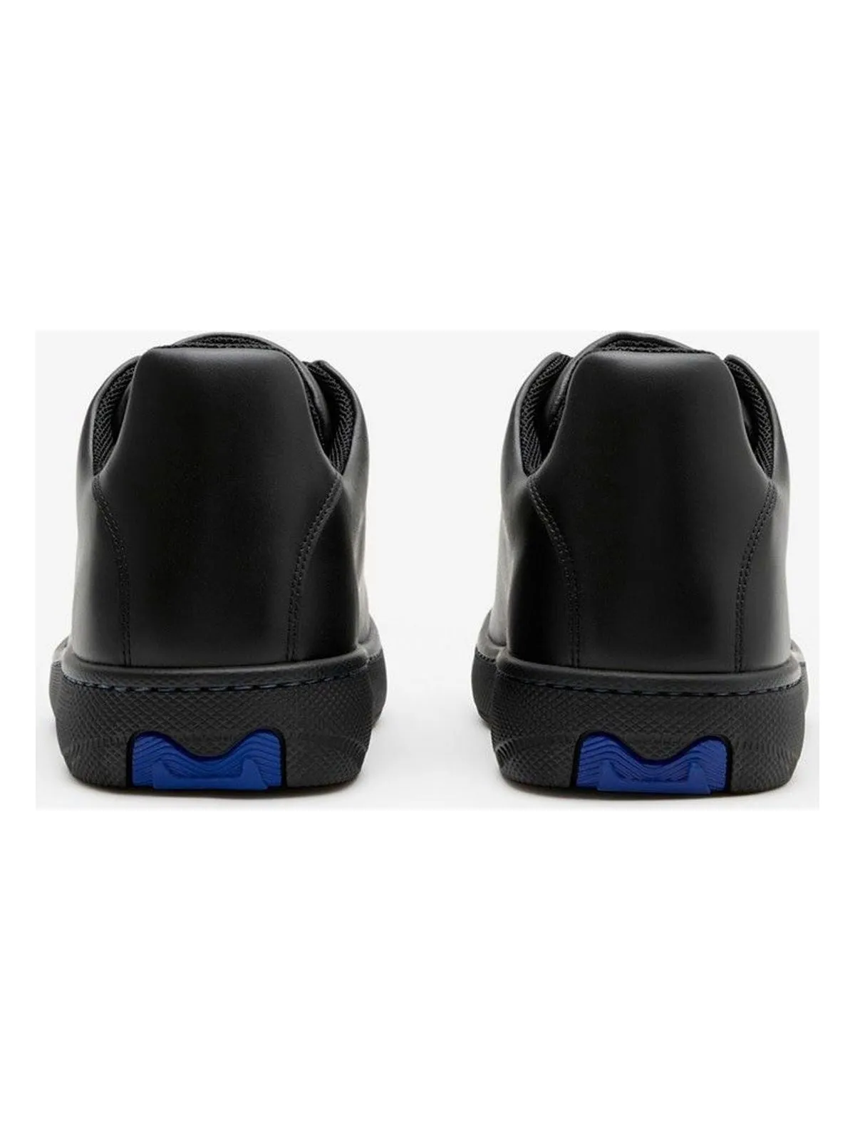 Box Sneakers