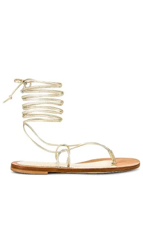 CoRNETTI Lola Lace Up Sandal in Metallic Gold