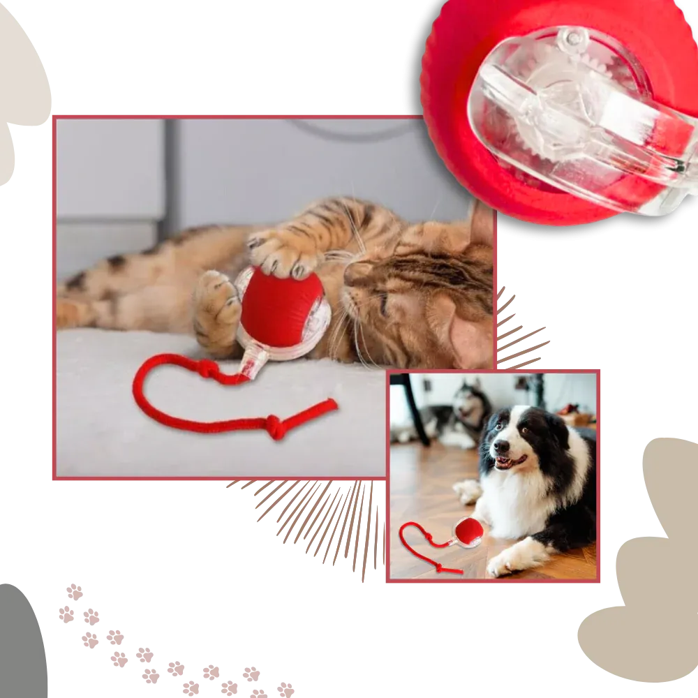 Smart Interactive Cats Ball Toy